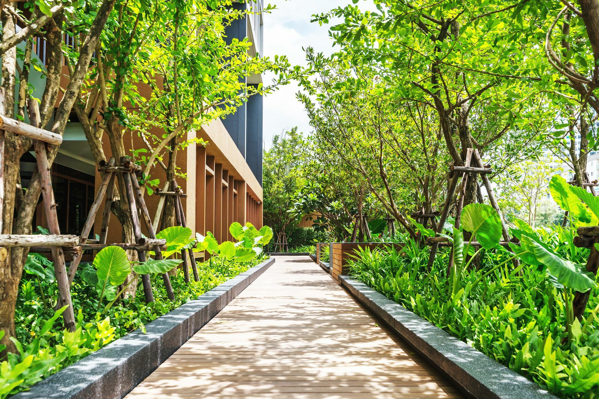 Hasu Haus By Favstay Bangkok Eksteriør bilde